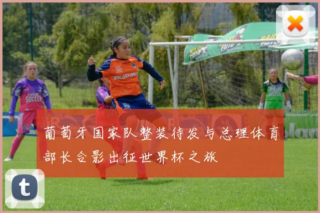 葡萄牙国家队整装待发与总理体育部长合影出征世界杯之旅